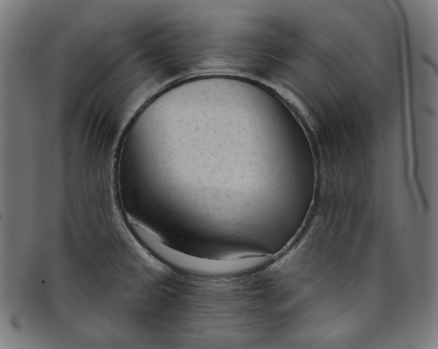 X0000098091333200804251246