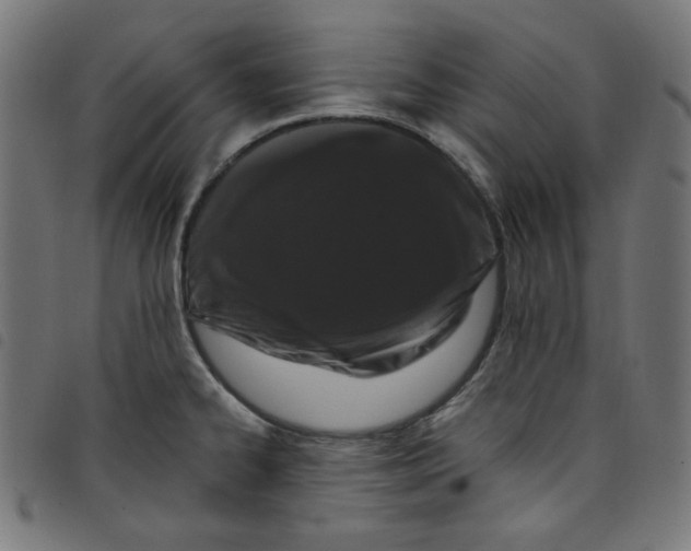 X0000098091334200804251246