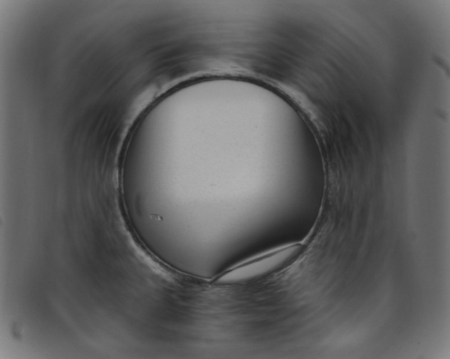 X0000098091335200804251246