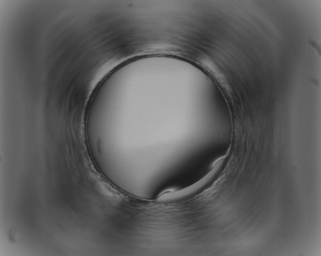 X0000098091336200804251246
