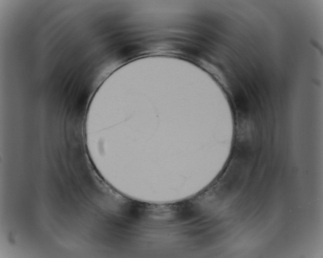 X0000098091338200804251246
