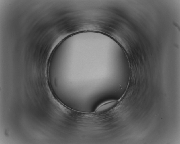 X0000098091339200804251246