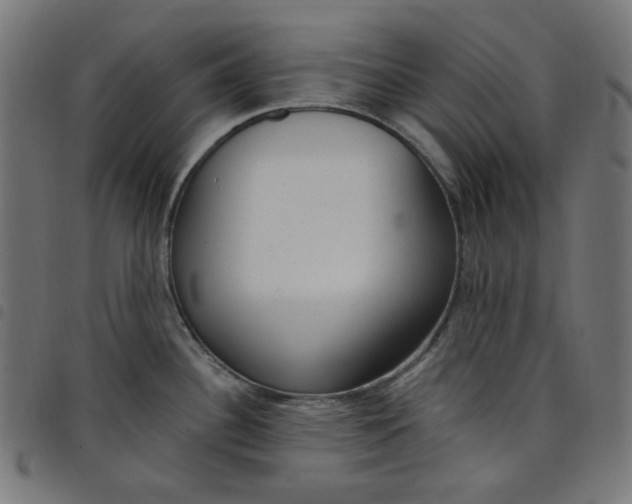 X0000098091340200804251246