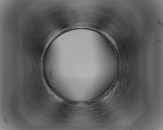 X0000098091341200804251246
