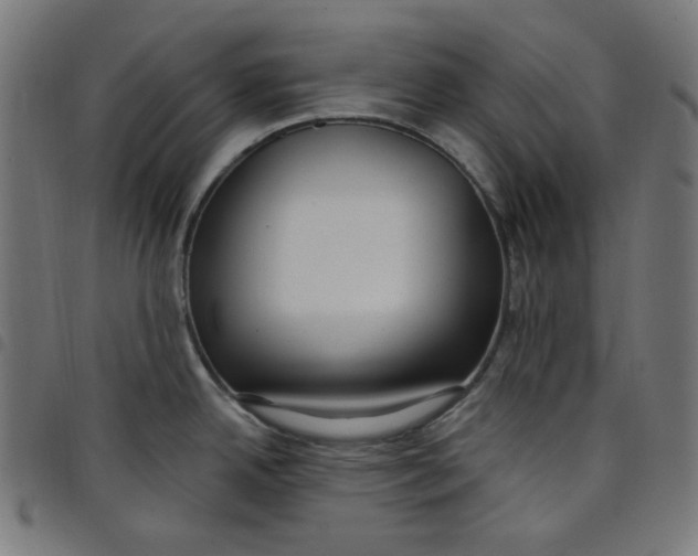 X0000098091342200804251246