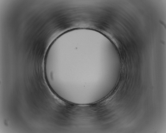 X0000098091343200804251246