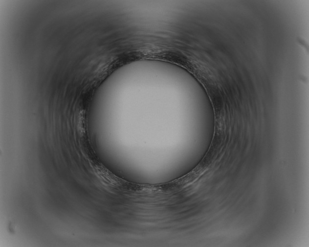 X0000098091346200804251245