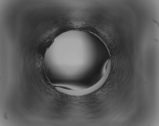 X0000098091349200804251245