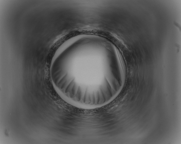 X0000098091350200804251245
