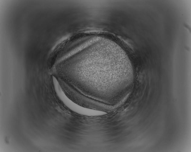 X0000098091351200804251245