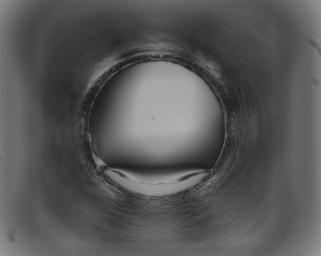 X0000098091352200804251245