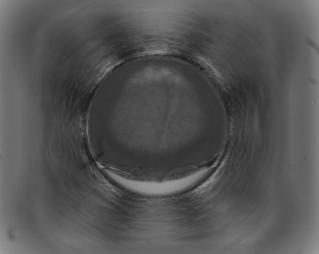 X0000098091353200804251245