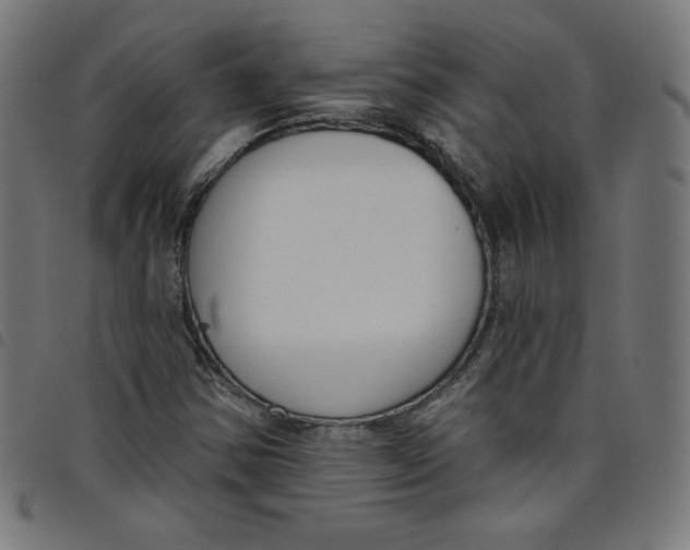 X0000098091354200804251245