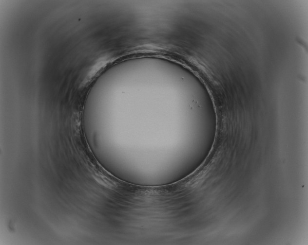 X0000098091355200804251245