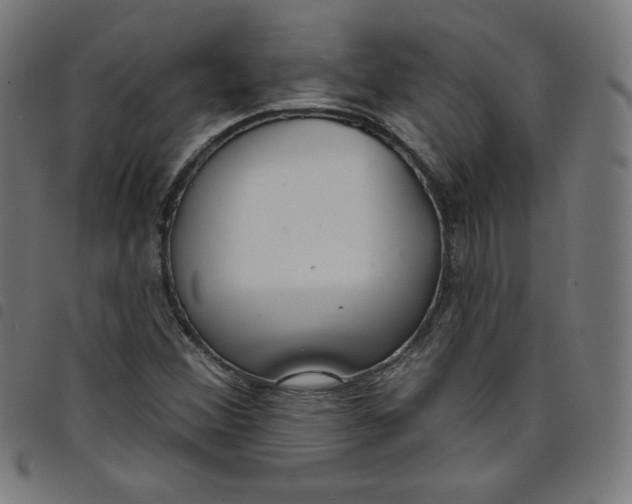 X0000098091356200804251245