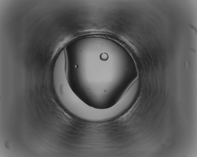X0000098091357200804251245