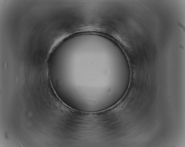X0000098091358200804251245