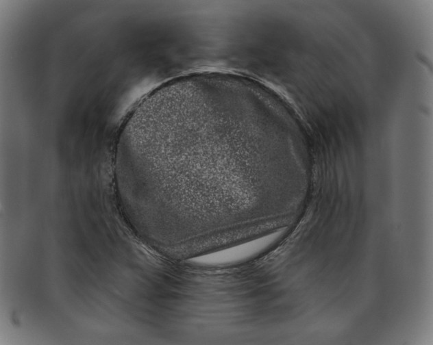 X0000098091359200804251245