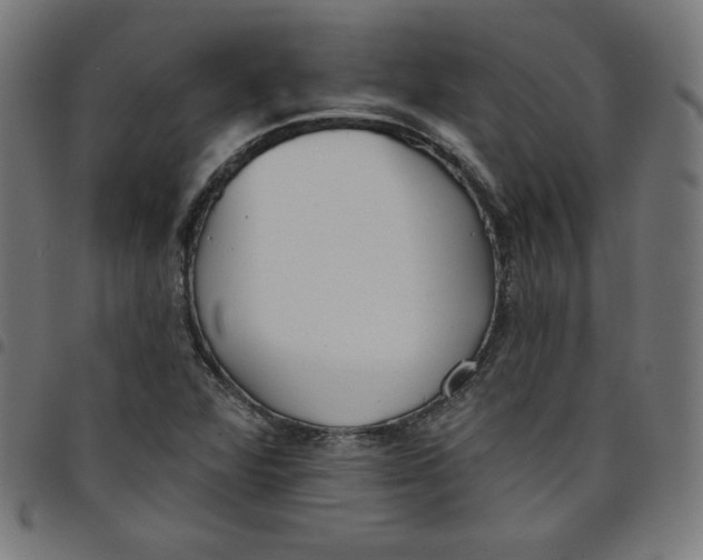 X0000098091360200804251245