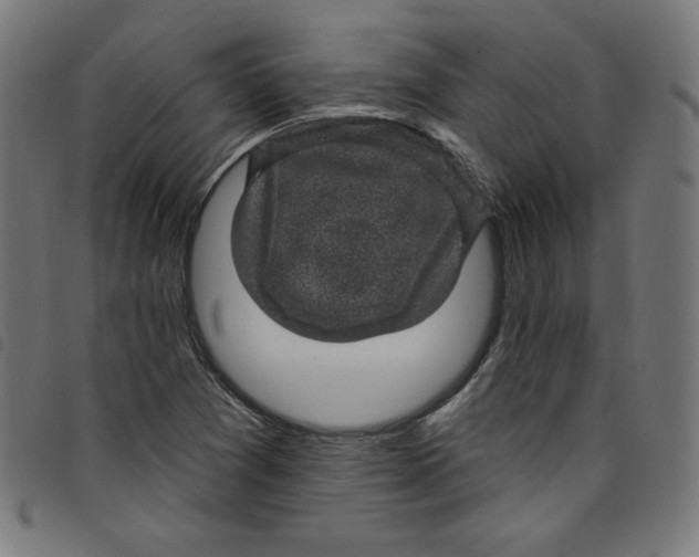 X0000098091361200804251245