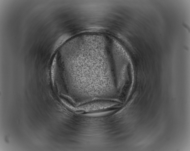 X0000098091362200804251245