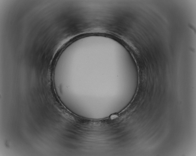 X0000098091364200804251245