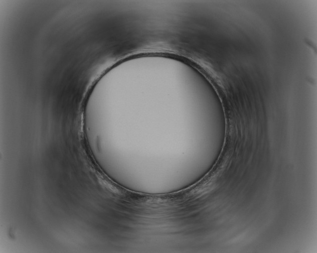 X0000098091366200804251245
