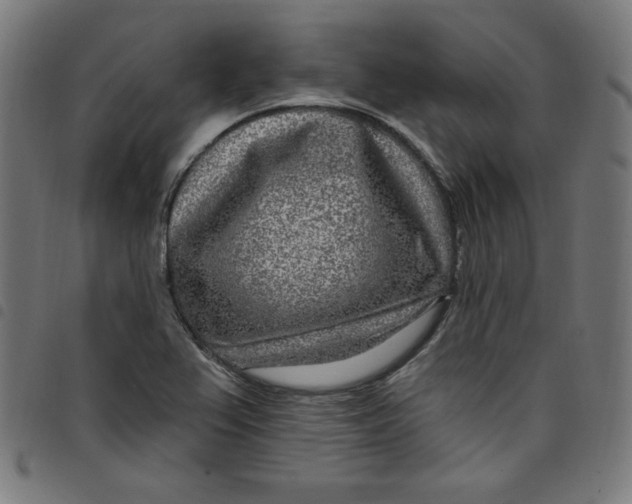 X0000098091367200804251245