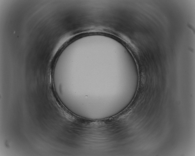X0000098091368200804251245