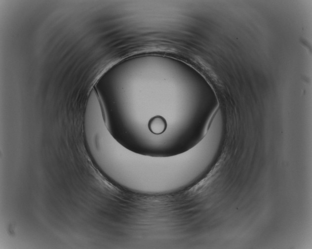 X0000098091369200804251245