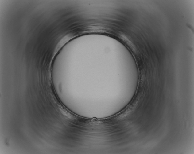 X0000098091370200804251245