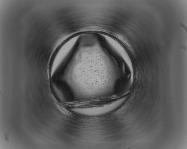 X0000098091372200804251245