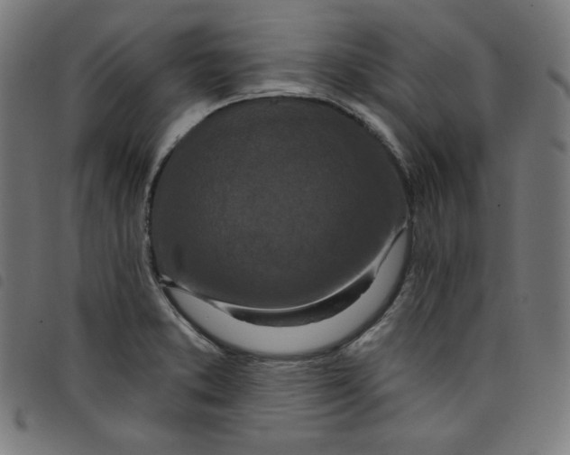 X0000098091373200804251245