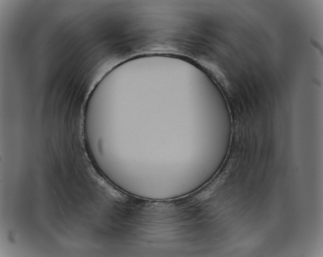 X0000098091374200804251245