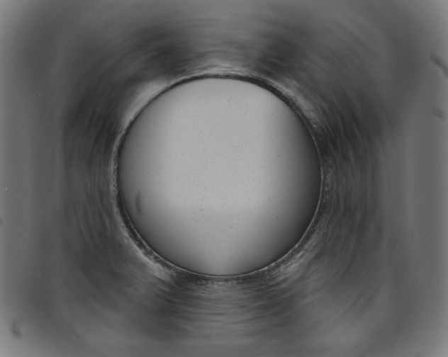 X0000098091375200804251245