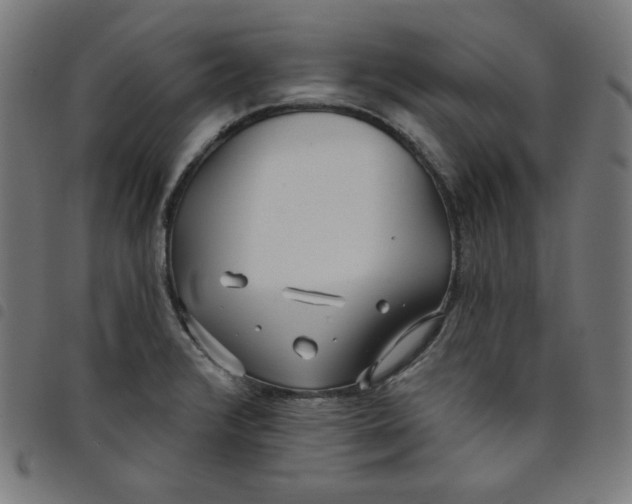 X0000098091376200804251245