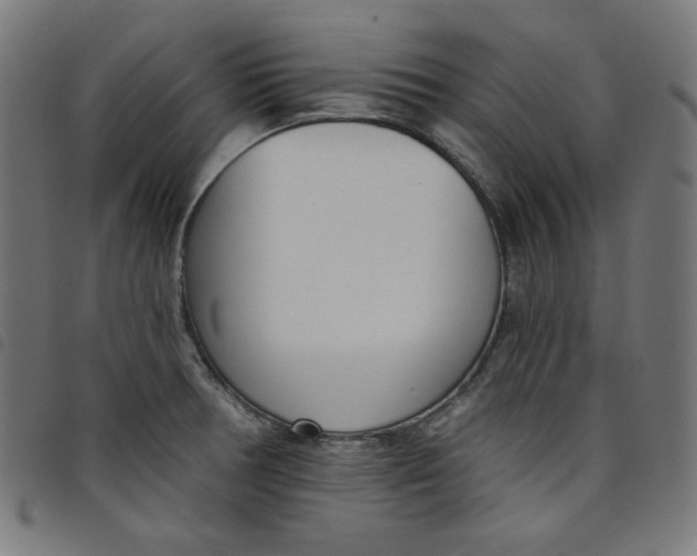 X0000098091378200804251244