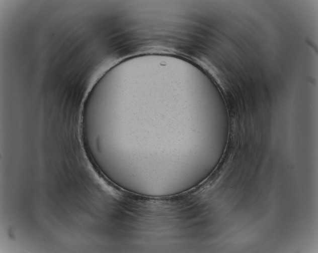 X0000098091379200804251244