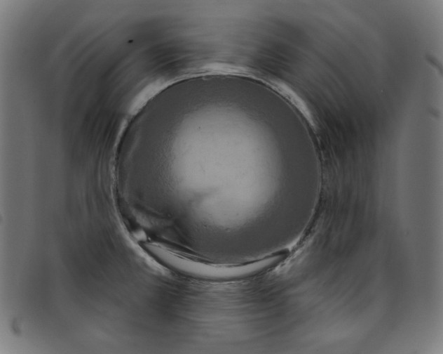 X0000098091381200804251244