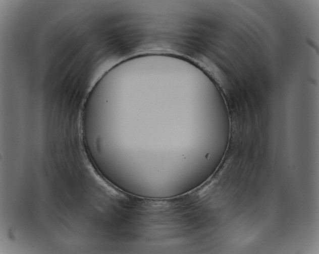 X0000098091382200804251244