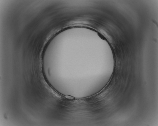 X0000098091384200804251244