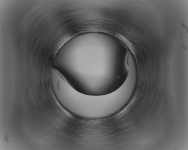 X0000098091385200804251244