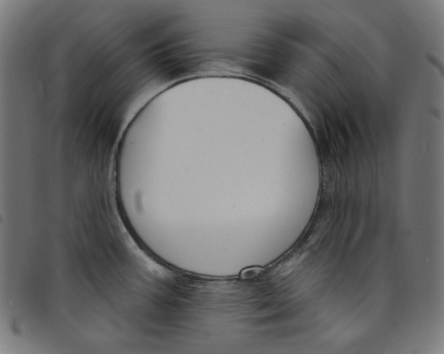 X0000098091387200804251244