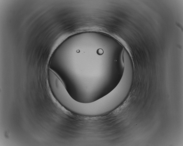 X0000098091389200804251244