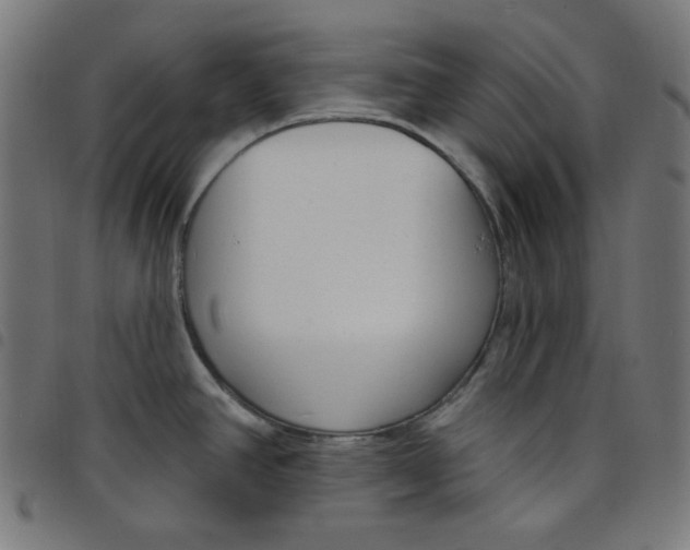 X0000098091390200804251244