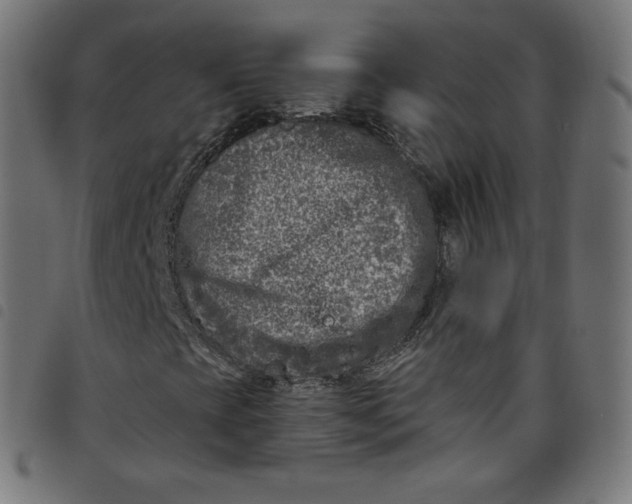 X0000098091393200804251243