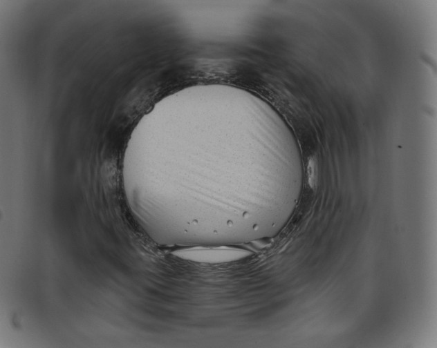 X0000098091395200804251244