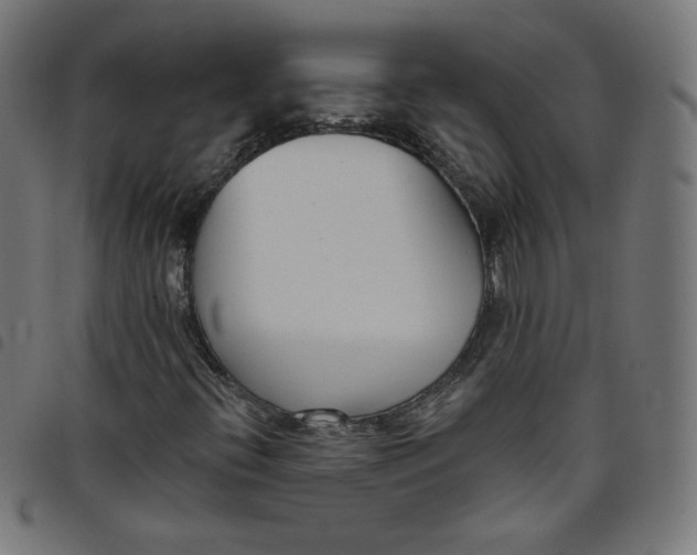 X0000098091396200804251244