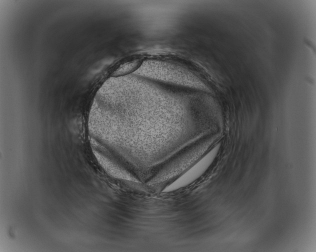 X0000098091398200804251244