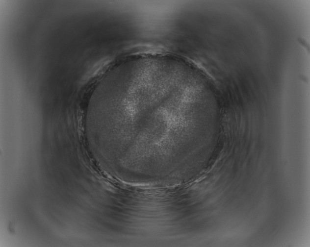 X0000098091399200804251244
